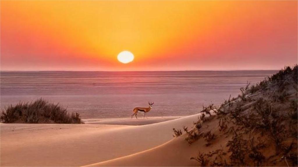 11-Day Grand Somaliland Cultural & Nature Expedition